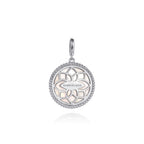 Silver Charms/Pendants